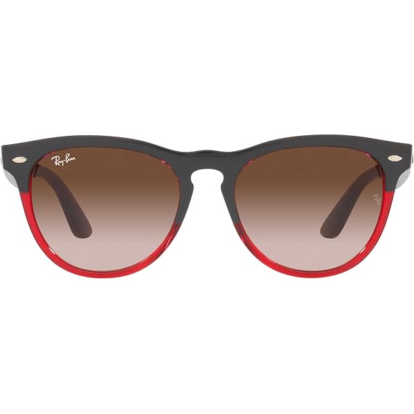 Amazon.com: Ray-Ban Unisex RB4487 Steve Square Sunglasses, Black